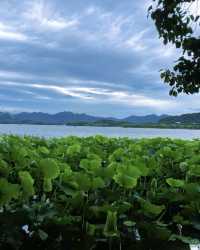 杭州西湖絕美打卡攻略｜這份浪漫請收好