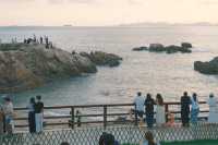 【青島小麥島】闖入宮崎駿的夏天，與海風和一棵樹獨處