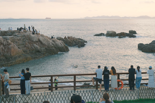 【青島小麥島】闖入宮崎駿的夏天，與海風和一棵樹獨處