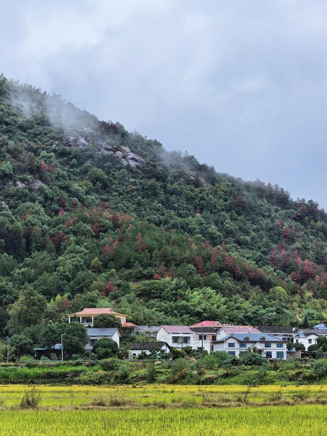 去長沙北山徒步卻被天氣"放鴿子"是什麼體驗? 去長沙北山徒步卻被天氣"放鴿子"是什麼體驗?
