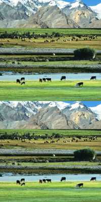 小眾秘境！新疆自駕選孟克特古道就對了