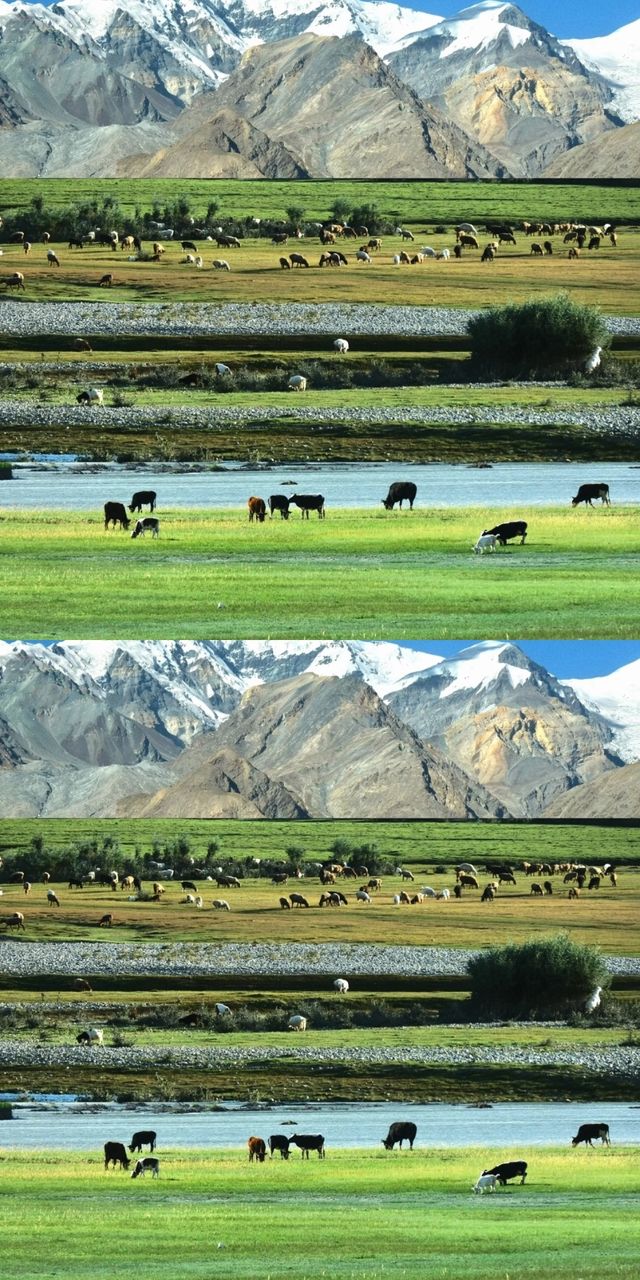 小眾秘境！新疆自駕選孟克特古道就對了