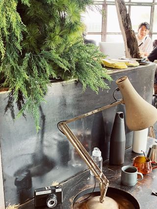 🌿 Doudoubake KL: Where Urban Jungle Meets Sweet Dreams! 🍰