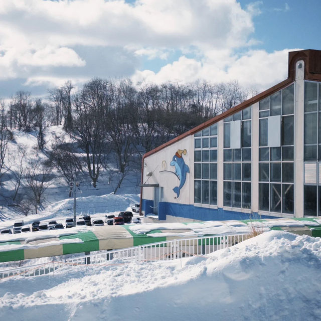 🐧오타루 수족관에서 펭귄과 눈꽃을 만난 날 🐧오타루 수족관에서 펭귄과 눈꽃을 만난 날