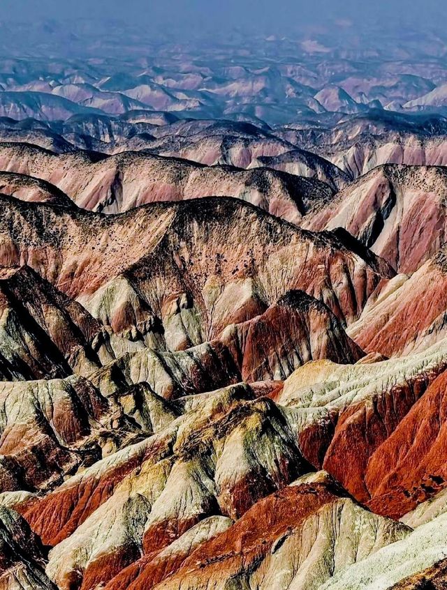 蘭州藏著會呼吸的“天然油畫”,最佳觀賞期僅30天 蘭州藏著會呼吸的“天然油畫”,最佳觀賞期僅30天