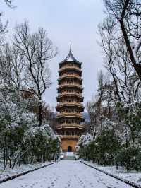 2天南京秋遊攻略 錯過等一年