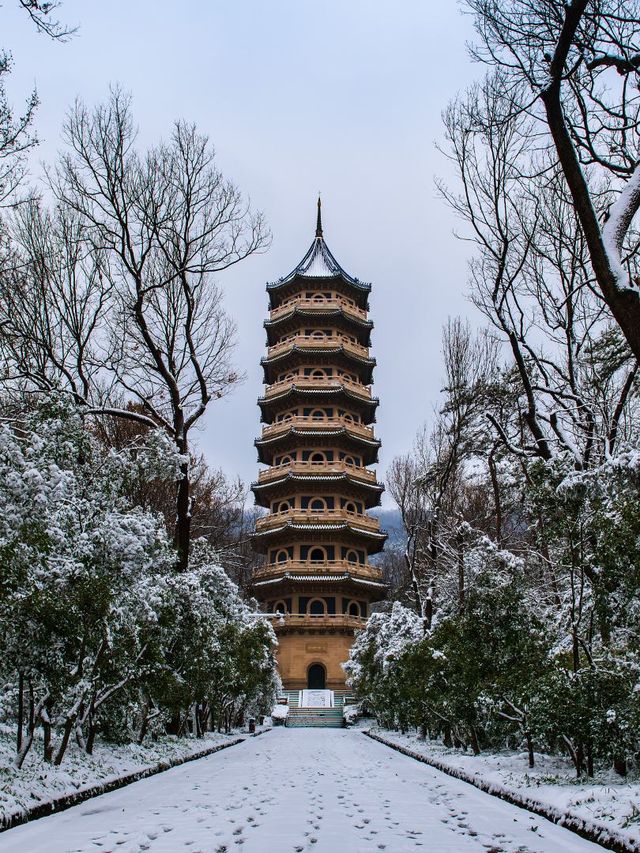 2天南京秋遊攻略 錯過等一年