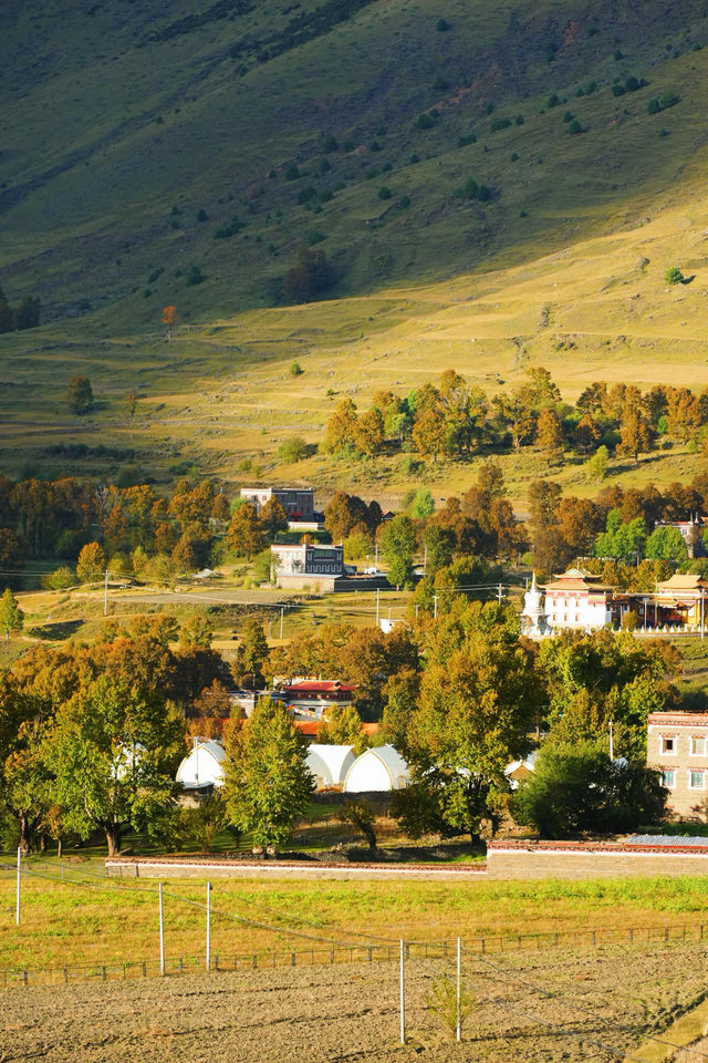 日落剪影絕美打卡點 日落剪影絕美打卡點