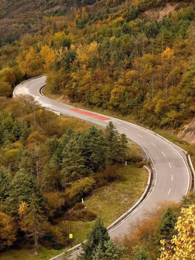 秋色限定牛背山私藏小團，2-8人暢玩雲端仙境！