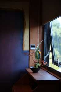 遁入鯉魚洲,邂逅一場山水夢境