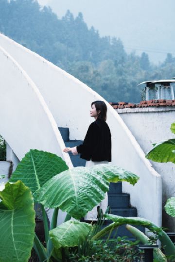 Письмо из Спринг-Филд | Дзен-ретрит у подножия горы Цзюхуа: превращая путешествие в путешествие домой