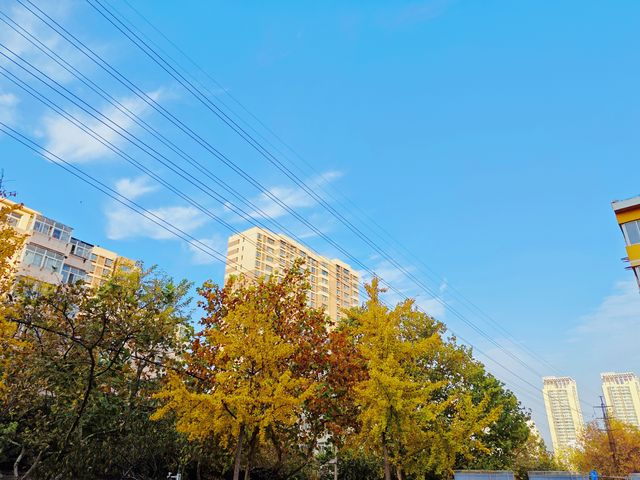 青島寶藏酒店｜位置好到哭，細節戳心巴