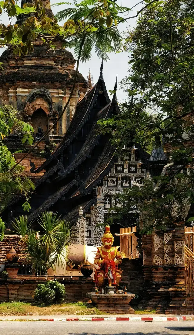 Notes from Chiang Mai｜In the season when jasmine blooms, meet the gentlest little city
