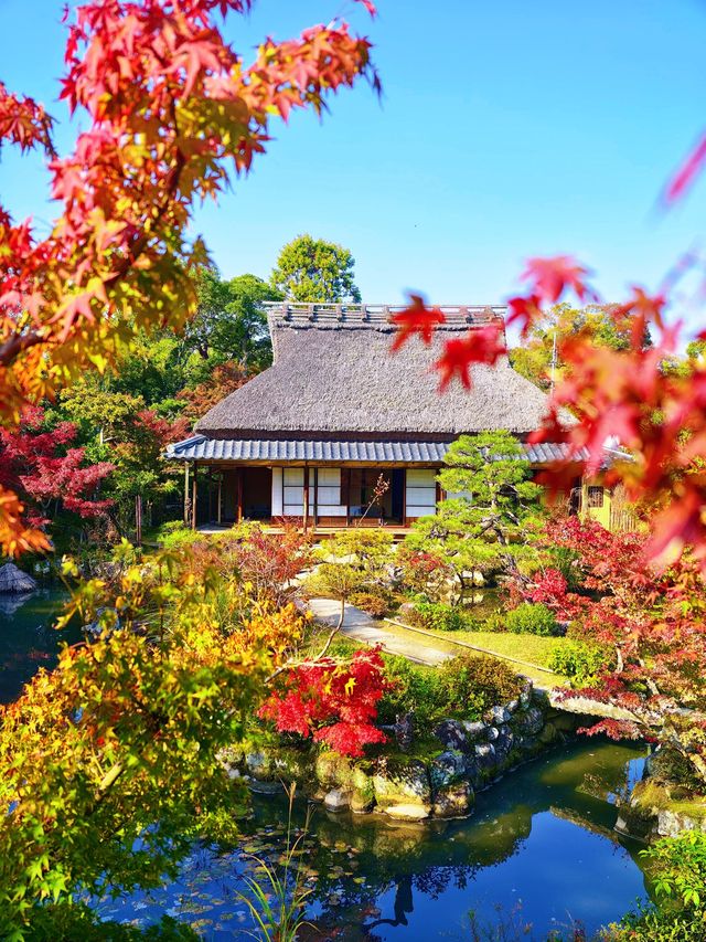 奈良依水園攻略關西最仙庭院被我發現啦! 奈良依水園攻略關西最仙庭院被我發現啦!