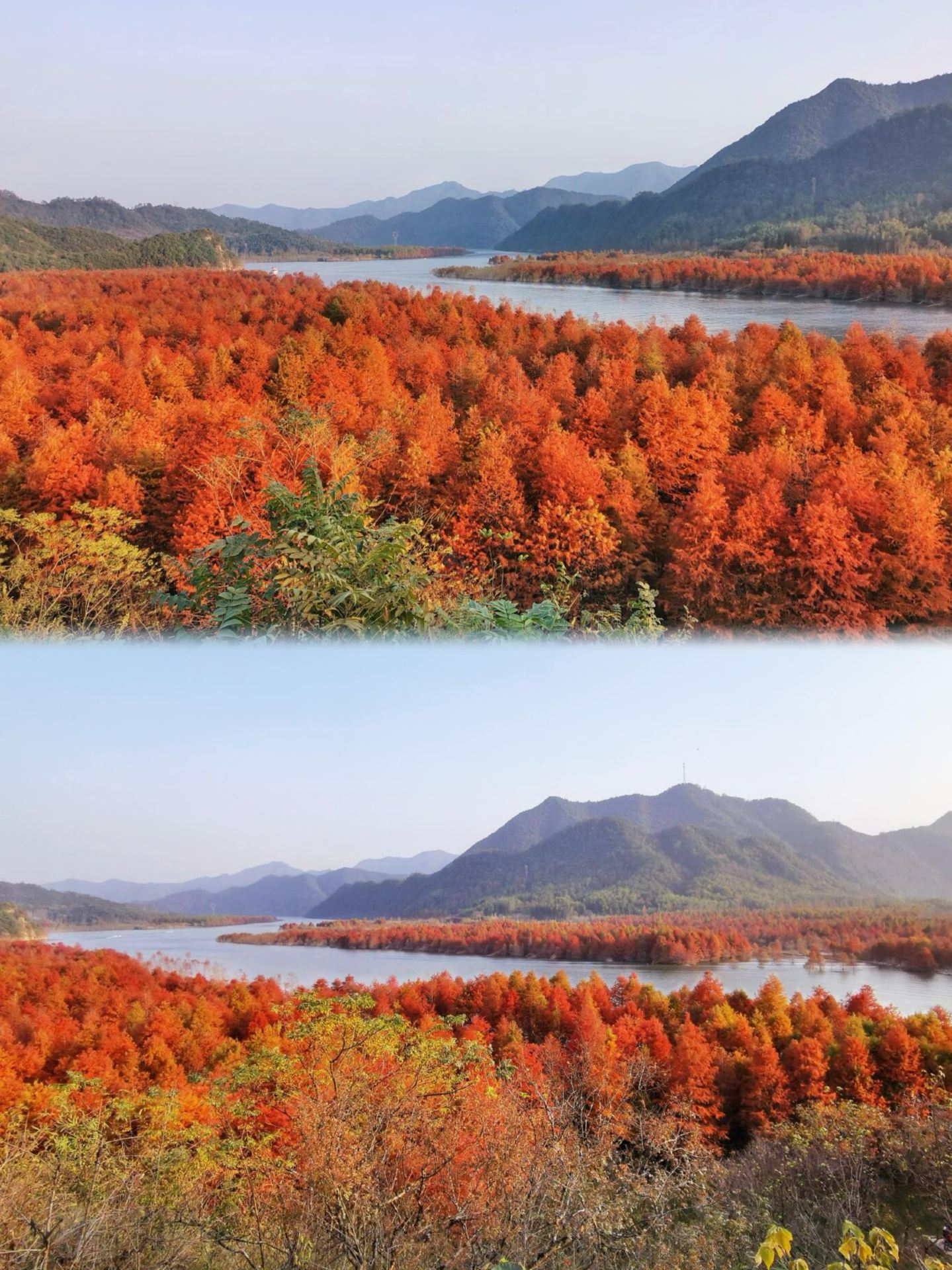 1-hour high-speed train ride to a seriously underrated autumn-viewing small town that rivals Kanas