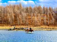 深秋阿爾山騎馬逐浪邂逅大興安嶺最美秋天