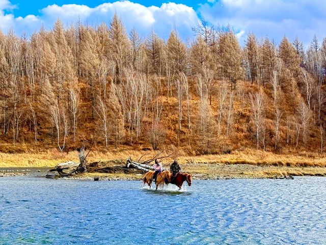 深秋阿爾山騎馬逐浪邂逅大興安嶺最美秋天