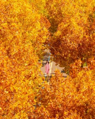 徐州馬陵山藏在蘇北的小眾賞秋秘境！快來打卡～