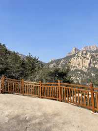 青島1日遊包車打卡超全景點