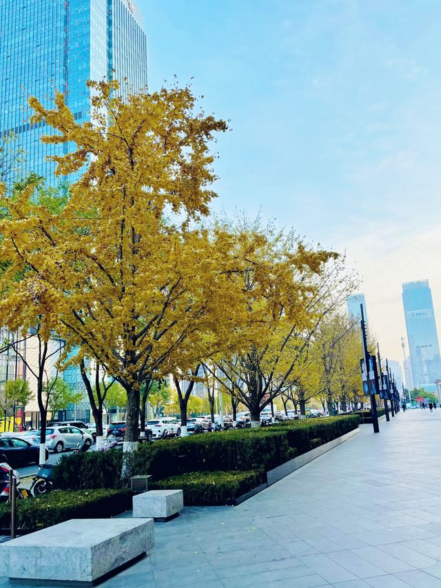 瀋陽漫遊必打卡!歷史與現代完美融合的City Walk攻略 瀋陽漫遊必打卡!歷史與現代完美融合的City Walk攻略