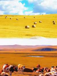 大興安嶺森林探秘