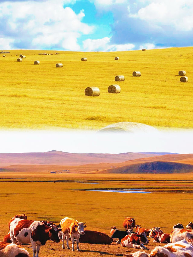 大興安嶺森林探秘