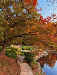 青島，藏匿著愜意的街景