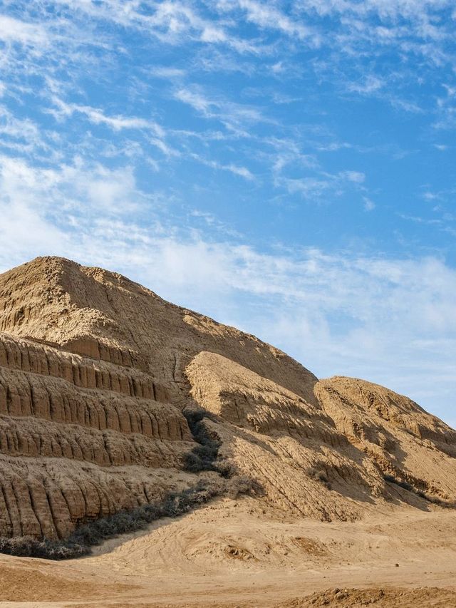 南美洲21日深度遊攻略全在這兒了