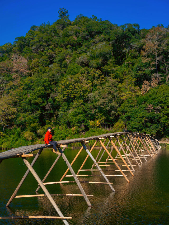 11月後來我逢人便說，婺源的秋景有多美