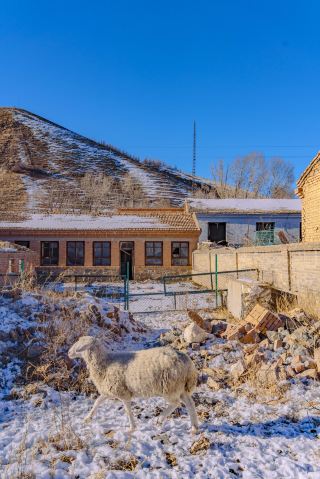 9. A Winter Date at Red Stone Cliff｜Snow and Red Rocks Perfect Match