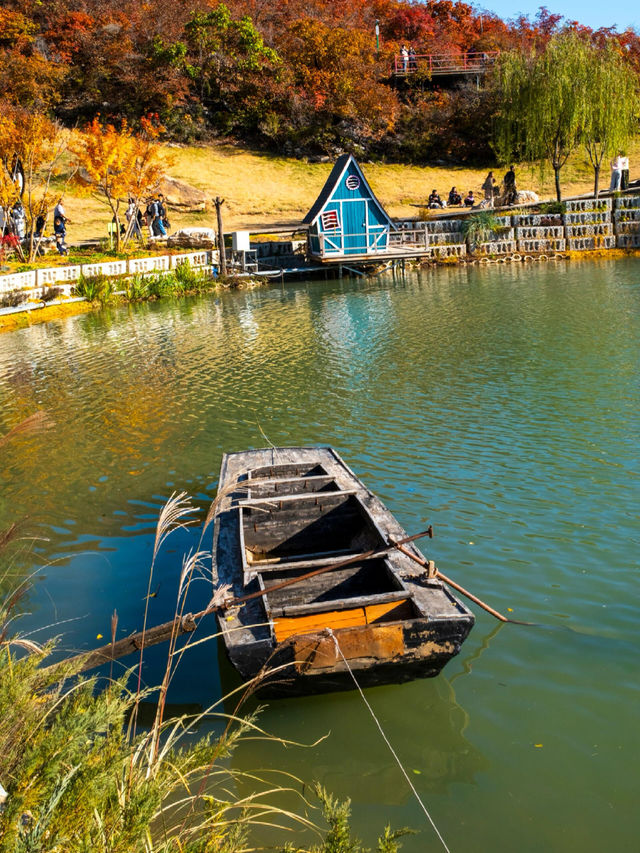「坡峰嶺紅葉秘境·北京秋日天花板」