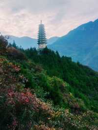 三峽龍脊必打卡