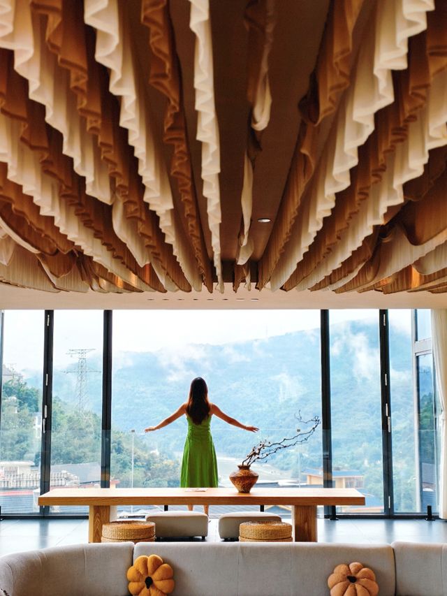 在版納雨林裡住進了現實版《飛屋環遊記》！