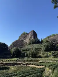 福建武夷山,徒步在最美茶道,看盡丹霞風貌