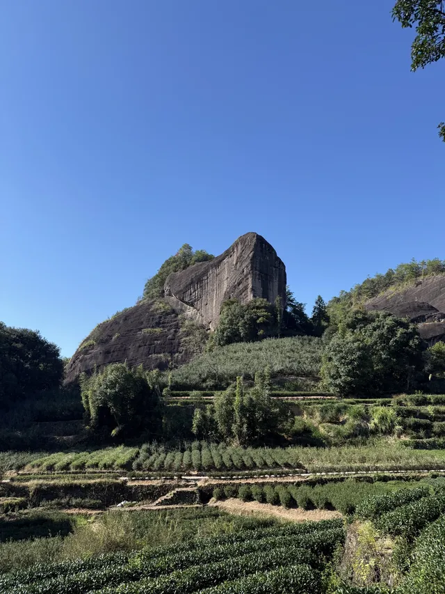 福建武夷山,徒步在最美茶道,看盡丹霞風貌 福建武夷山,徒步在最美茶道,看盡丹霞風貌