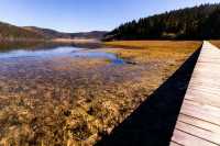 香格里拉攻略｜缺氧但不缺信仰，3天2夜玩轉人間仙境！