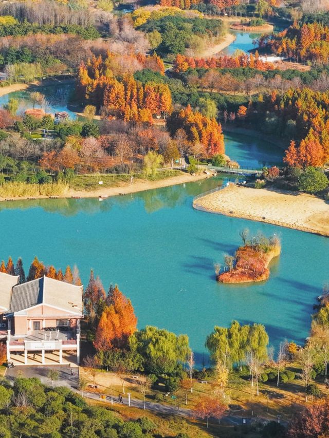 泗洪2天1夜|城東生態公園秋意濃! 泗洪2天1夜|城東生態公園秋意濃!