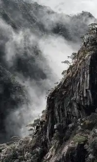 輕鬆拿下三清山大大大環線附保姆級攻略！