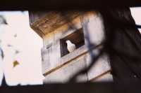 南京三天遊(秋天的尾巴)