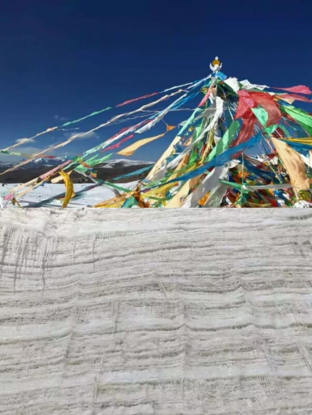 探秘八一冰川，穿越千年寒冰之旅