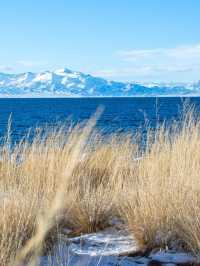 冬日賽里木湖,美到失語的藍冰秘境!