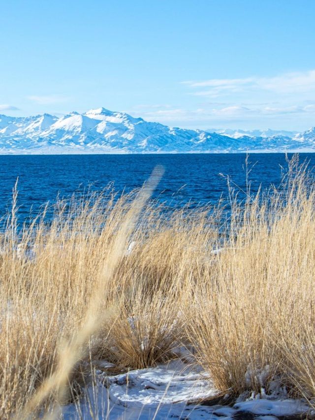 冬日賽里木湖,美到失語的藍冰秘境! 冬日賽里木湖,美到失語的藍冰秘境!