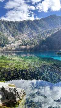 人均700九寨溝兩天一夜窮遊攻略｜徐州出發版