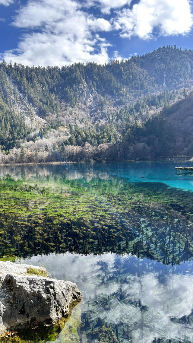 人均700九寨溝兩天一夜窮遊攻略｜徐州出發版