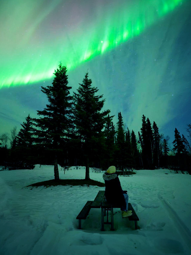 美國聖誕旅行清單！四個必去冬日特色好去處