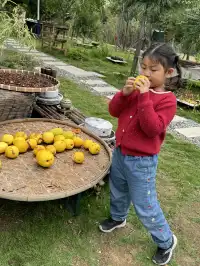 洛陽|週末泡溫泉逛少林寺親子兩日遊