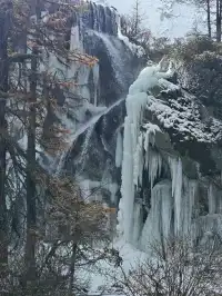 有一個地方叫做稻城……