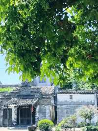 唐代楊氏家族在此修建的橋樑，連接南北，成為古鎮的象徵