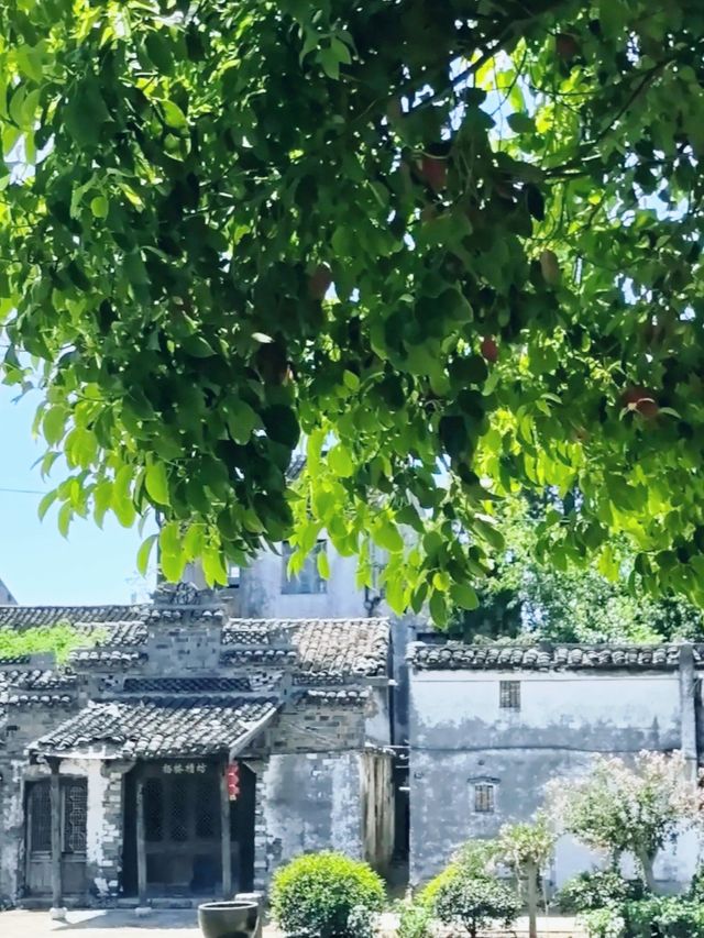 唐代楊氏家族在此修建的橋樑，連接南北，成為古鎮的象徵