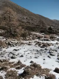 川西雪山整活，吃了牦牛肉，單穿一件是否抗凍